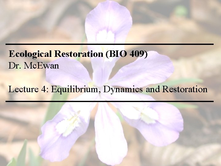 Ecological Restoration (BIO 409) Dr. Mc. Ewan Lecture 4: Equilibrium, Dynamics and Restoration 