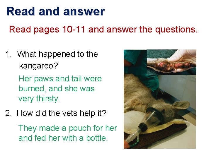Read answer Read pages 10 -11 and answer the questions. 1. What happened to
