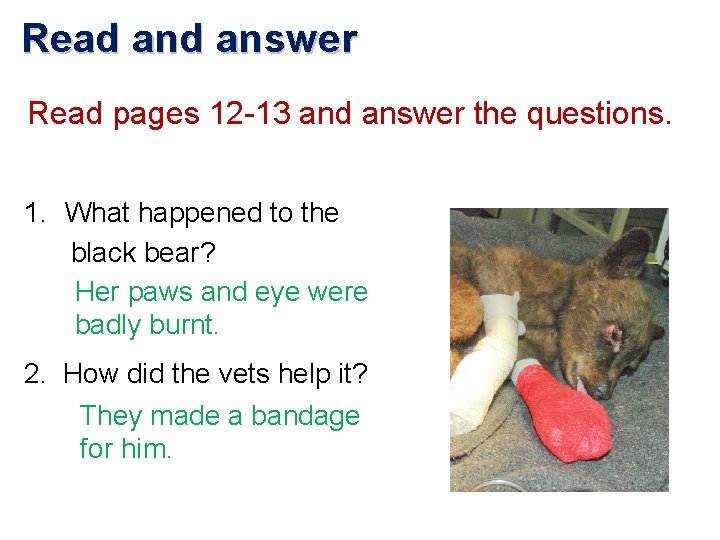 Read answer Read pages 12 -13 and answer the questions. 1. What happened to