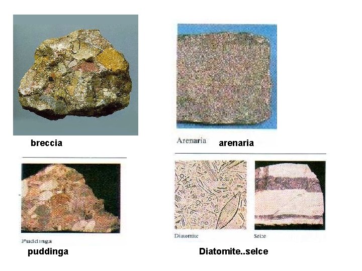 breccia puddinga arenaria Diatomite. . selce 