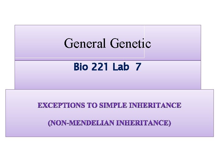 General Genetic Bio 221 Lab 7 