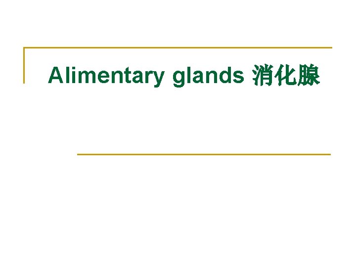 Alimentary glands 消化腺 