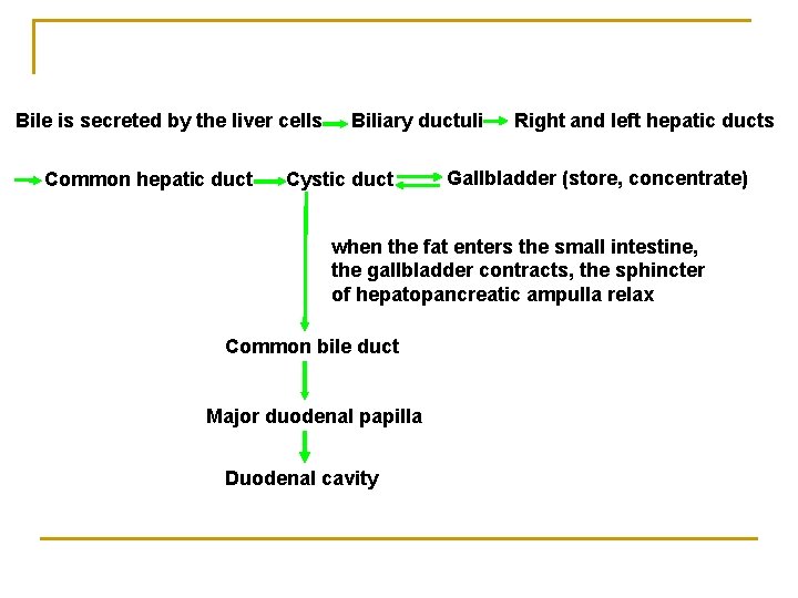 Bile is secreted by the liver cells Common hepatic duct Biliary ductuli Cystic duct