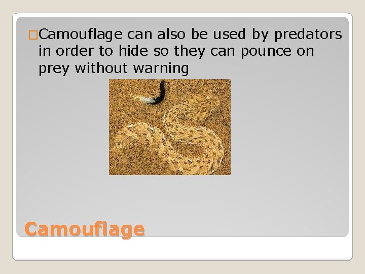 �Camouflage can also be used by predators in order to hide so they can