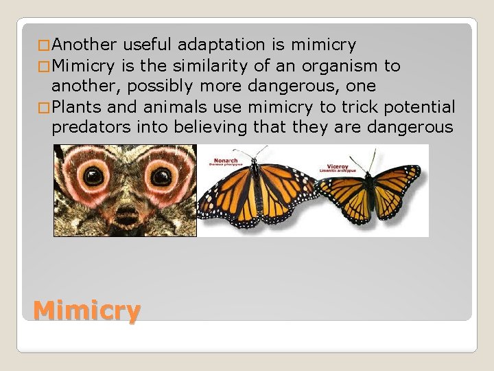 � Another useful adaptation is mimicry � Mimicry is the similarity of an organism