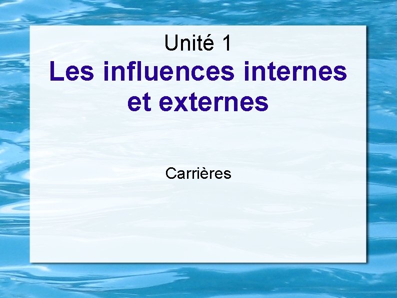 Unité 1 Les influences internes et externes Carrières 