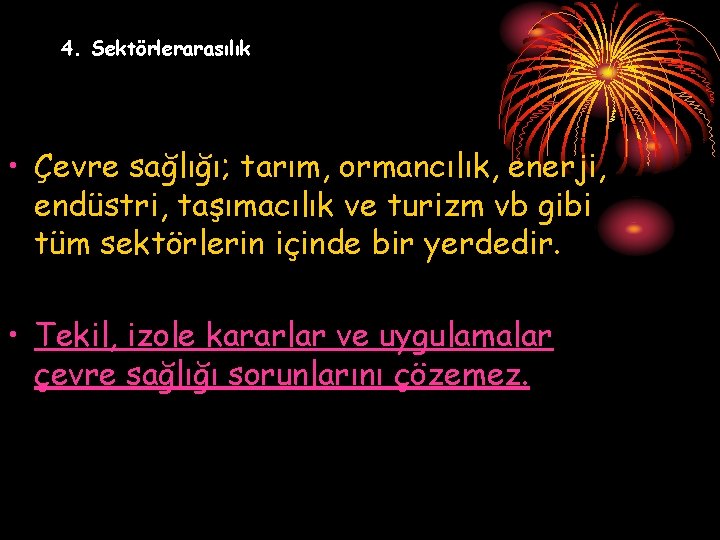 4. Sektörlerarasılık • Çevre sağlığı; tarım, ormancılık, enerji, endüstri, taşımacılık ve turizm vb gibi