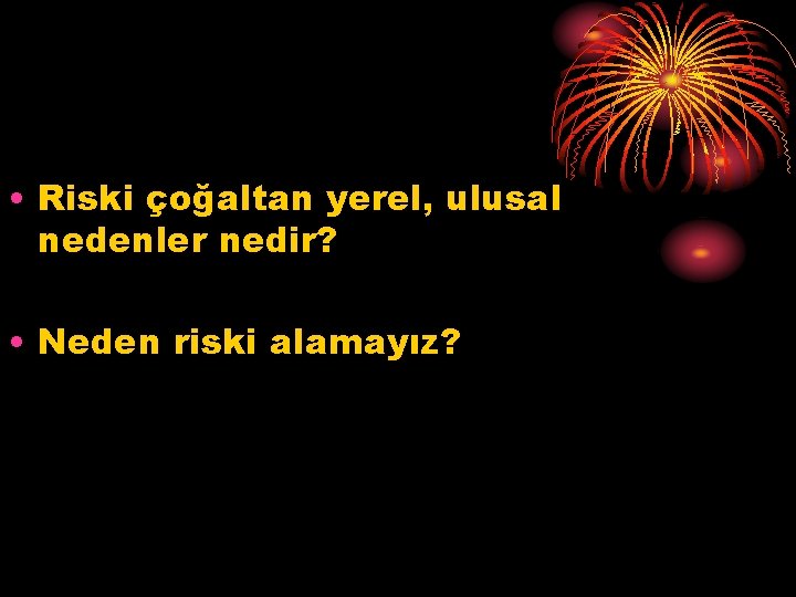  • Riski çoğaltan yerel, ulusal nedenler nedir? • Neden riski alamayız? 