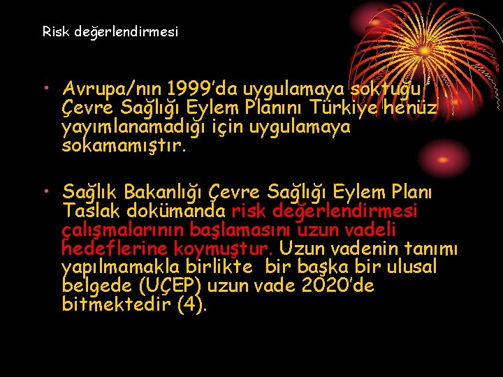 Risk değerlendirmesi • Avrupa/nın 1999’da uygulamaya soktuğu Çevre Sağlığı Eylem Planını Türkiye henüz yayımlanamadığı