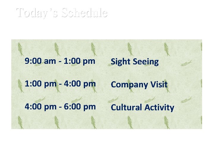 Today’s Schedule 9: 00 am - 1: 00 pm Sight Seeing 1: 00 pm