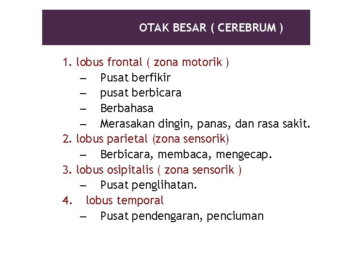 OTAK BESAR ( CEREBRUM ) 1. lobus frontal ( zona motorik ) – Pusat