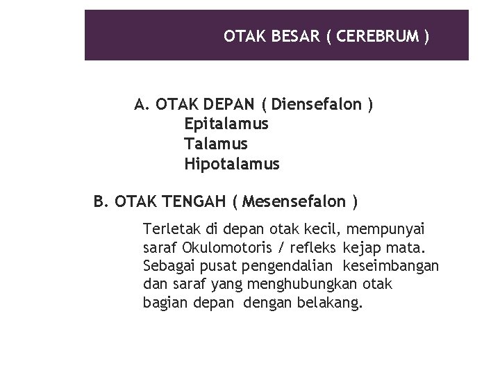 OTAK BESAR ( CEREBRUM ) A. OTAK DEPAN ( Diensefalon ) Epitalamus Talamus Hipotalamus