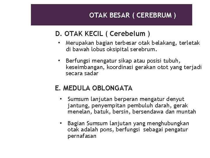 OTAK BESAR ( CEREBRUM ) D. OTAK KECIL ( Cerebelum ) • Merupakan bagian