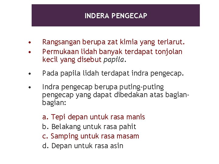 INDERA PENGECAP • • Rangsangan berupa zat kimia yang terlarut. Permukaan lidah banyak terdapat