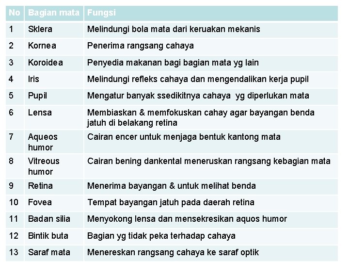 No Bagian mata Fungsi 1 Sklera Melindungi bola mata dari keruakan mekanis 2 Kornea