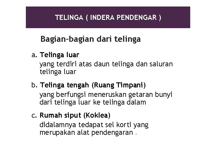 TELINGA ( INDERA PENDENGAR ) Bagian-bagian dari telinga a. Telinga luar yang terdiri atas