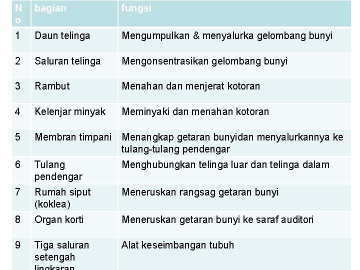 N o bagian fungsi 1 Daun telinga Mengumpulkan & menyalurka gelombang bunyi 2 Saluran