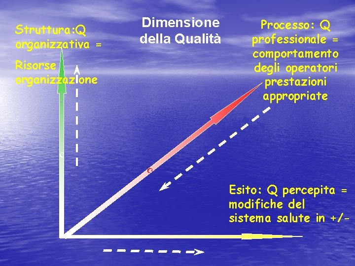 Struttura: Q organizzativa = Dimensione della Qualità Risorse organizzazione Processo: Q professionale = comportamento