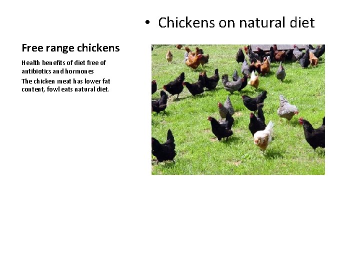  • Chickens on natural diet Free range chickens Health benefits of diet free