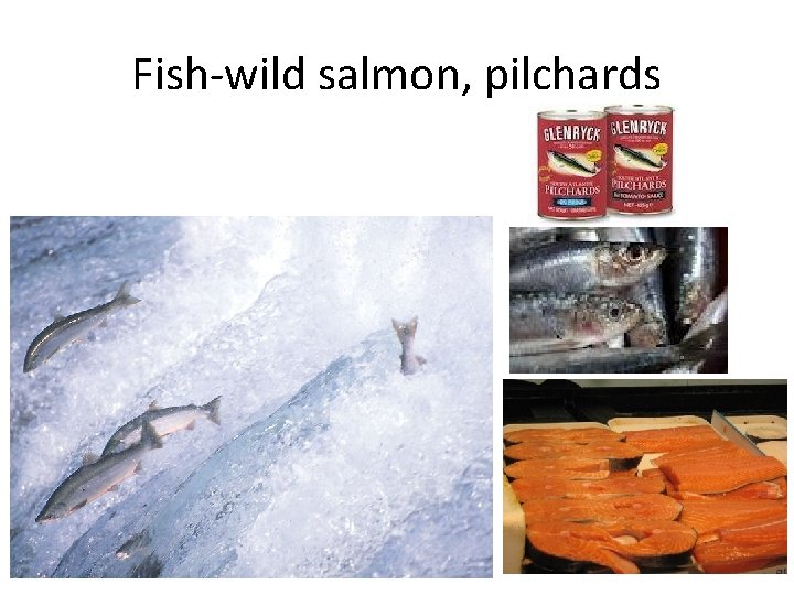 Fish-wild salmon, pilchards 