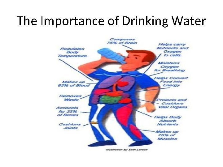 The Importance of Drinking Water 