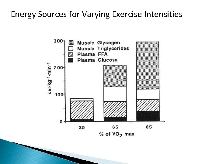Energy Sources for Varying Exercise Intensities 
