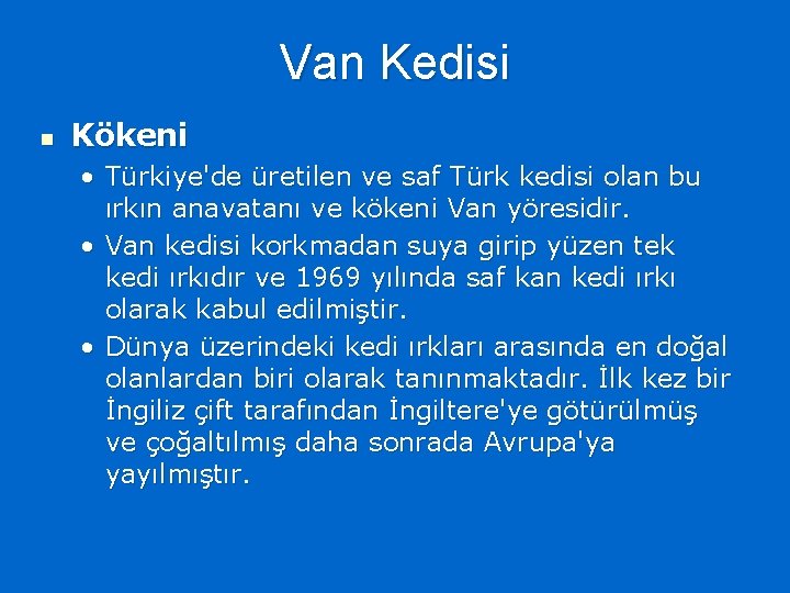 Van Kedisi n Kökeni • Türkiye'de üretilen ve saf Türk kedisi olan bu ırkın