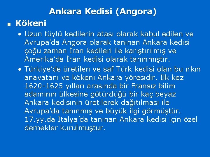 Ankara Kedisi (Angora) n Kökeni • Uzun tüylü kedilerin atası olarak kabul edilen ve