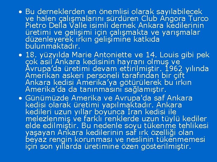  • Bu derneklerden en önemlisi olarak sayılabilecek ve halen çalışmalarını sürdüren Club Angora