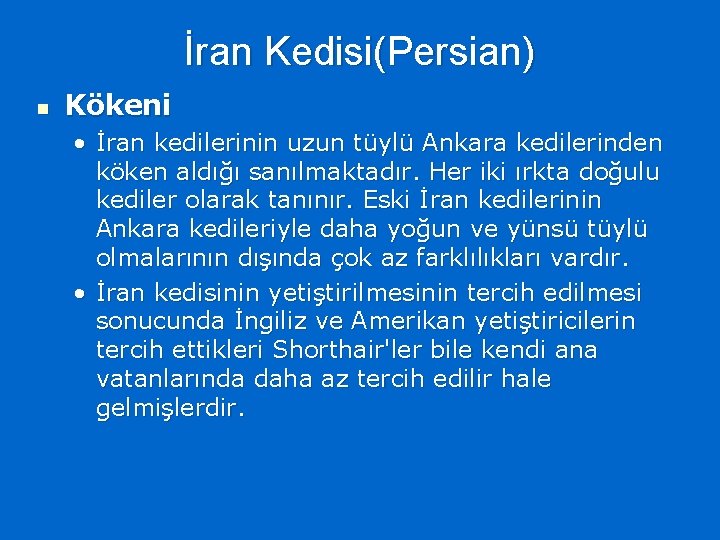 İran Kedisi(Persian) n Kökeni • İran kedilerinin uzun tüylü Ankara kedilerinden köken aldığı sanılmaktadır.