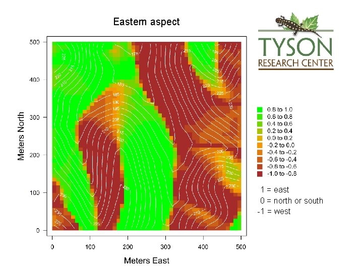 Forest Dynamics Plot Soil and Topographic Maps Principal