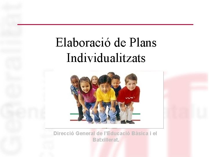 Elaboració de Plans Individualitzats Direcció General de l’Educació Bàsica i el Batxillerat. 