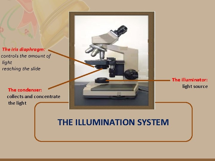 Light Intensity Control Microscope Function MICROSCOPY Prepared by Reem Aldossari APPLICATIONS OF COMPOUND