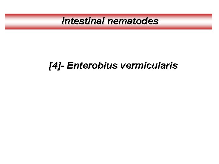 Intestinal nematodes [4]- Enterobius vermicularis 