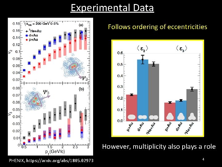 Experimental Data Follows ordering of eccentricities However, multiplicity also plays a role PHENIX, https: