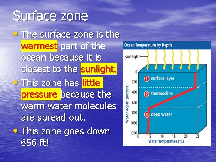 Surface zone • The surface zone is the warmest part of the ocean because Surface zone • The surface zone is the warmest part of the ocean because