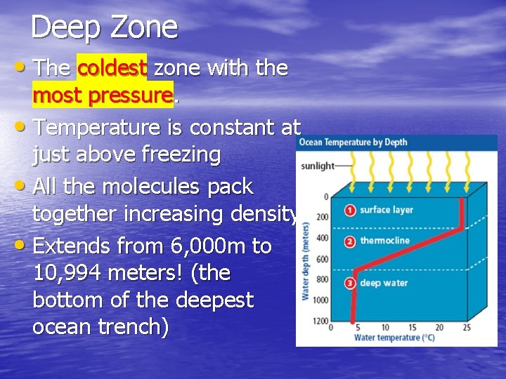 Deep Zone • The coldest zone with the most pressure. • Temperature is constant Deep Zone • The coldest zone with the most pressure. • Temperature is constant