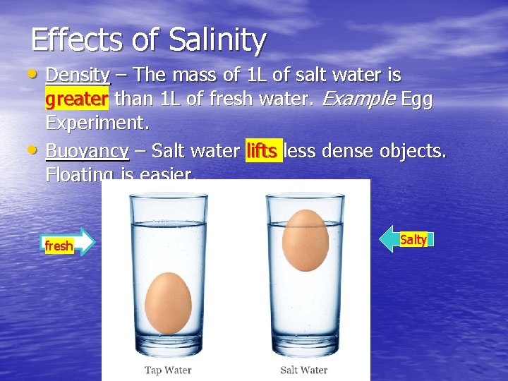 Effects of Salinity • Density – The mass of 1 L of salt water Effects of Salinity • Density – The mass of 1 L of salt water