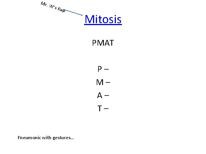 Mr. W’s Rap Mitosis PMAT P– M– A– T– Pneumonic with gestures… 