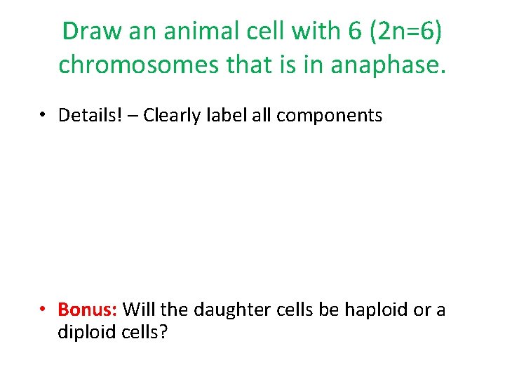 Draw an animal cell with 6 (2 n=6) chromosomes that is in anaphase. •