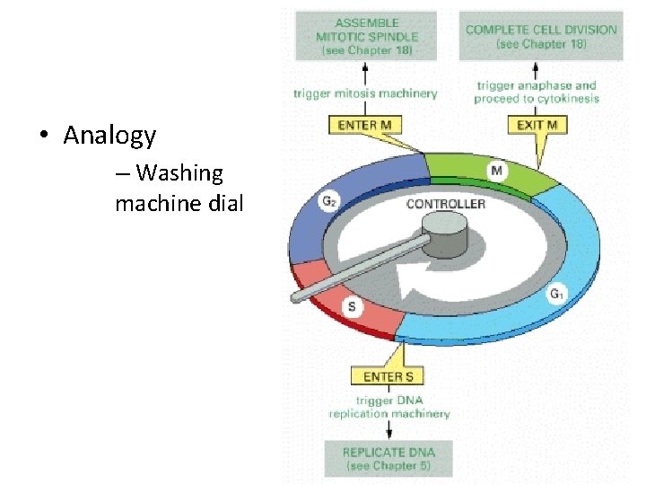  • Analogy – Washing machine dial 