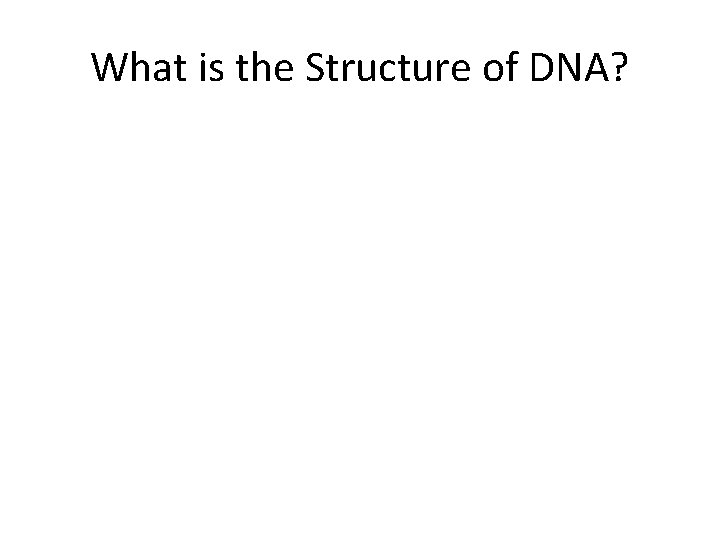 What is the Structure of DNA? 