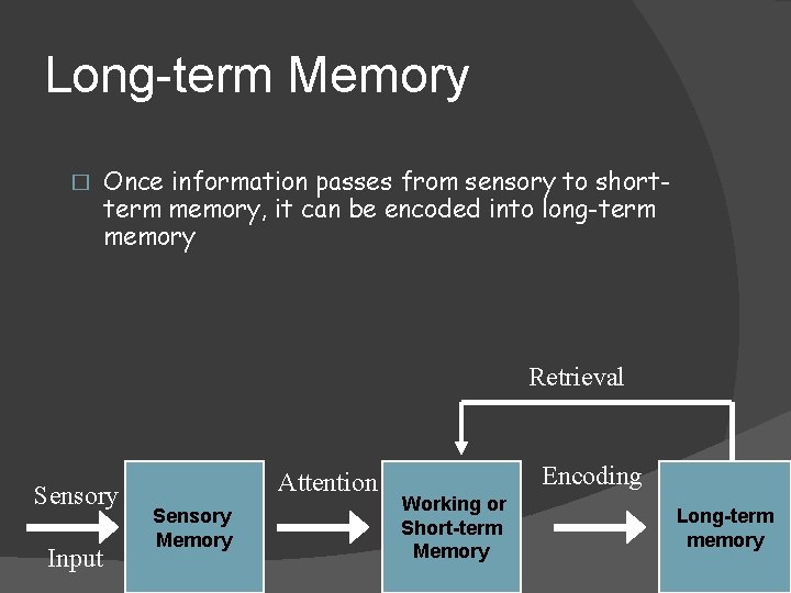 Long-term Memory � Once information passes from sensory to shortterm memory, it can be Long-term Memory � Once information passes from sensory to shortterm memory, it can be