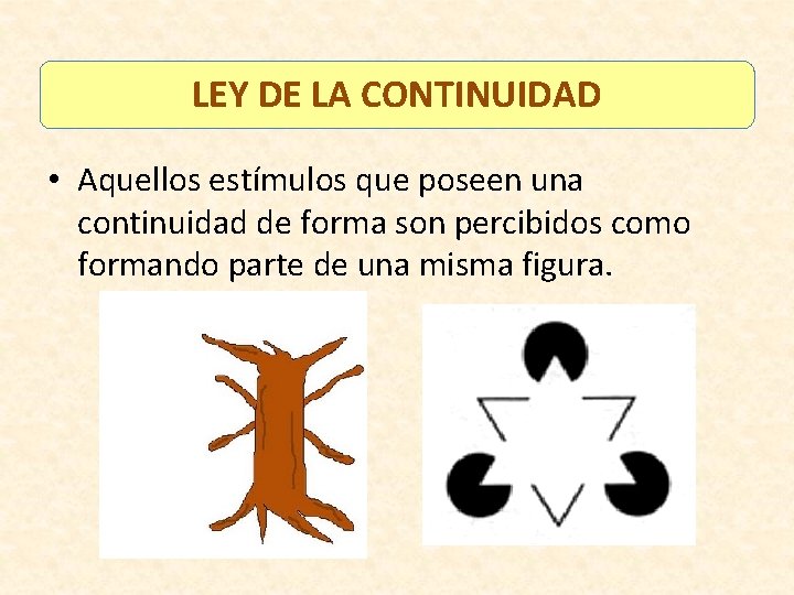 LEY DE LA CONTINUIDAD • Aquellos estímulos que poseen una continuidad de forma son