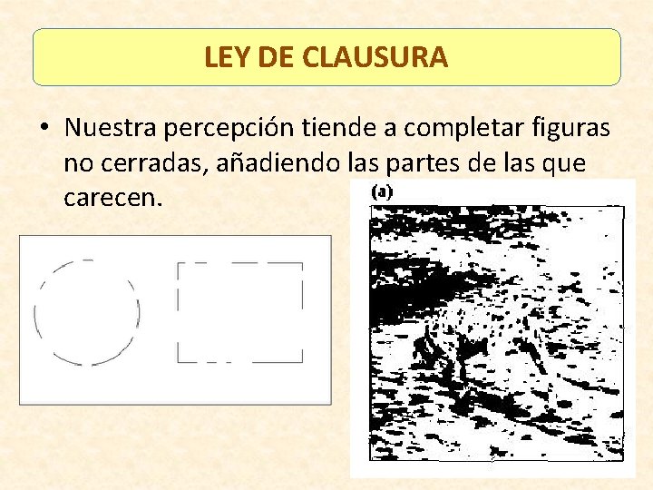 LEY DE CLAUSURA • Nuestra percepción tiende a completar figuras no cerradas, añadiendo las