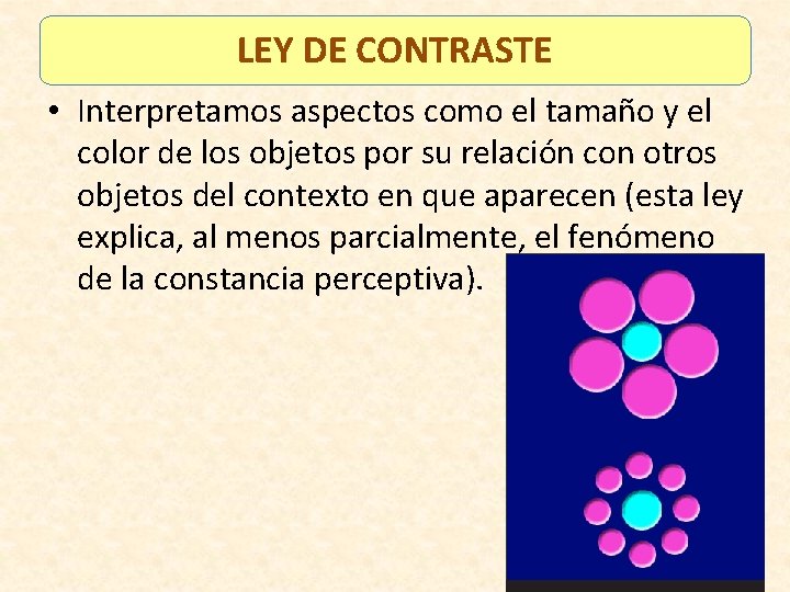 LEY DE CONTRASTE • Interpretamos aspectos como el tamaño y el color de los