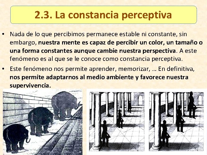 2. 3. La constancia perceptiva • Nada de lo que percibimos permanece estable ni