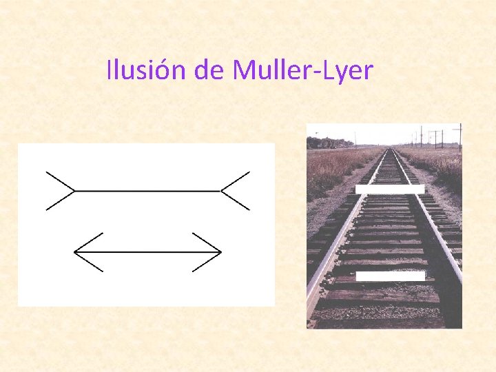 Ilusión de Muller-Lyer 