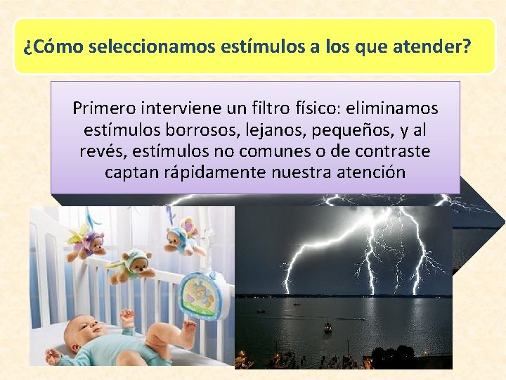 ¿Cómo seleccionamos estímulos a los que atender? Primero interviene un filtro físico: eliminamos estímulos