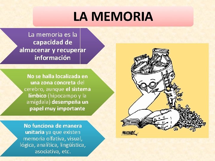 LA MEMORIA La memoria es la capacidad de almacenar y recuperar información No se
